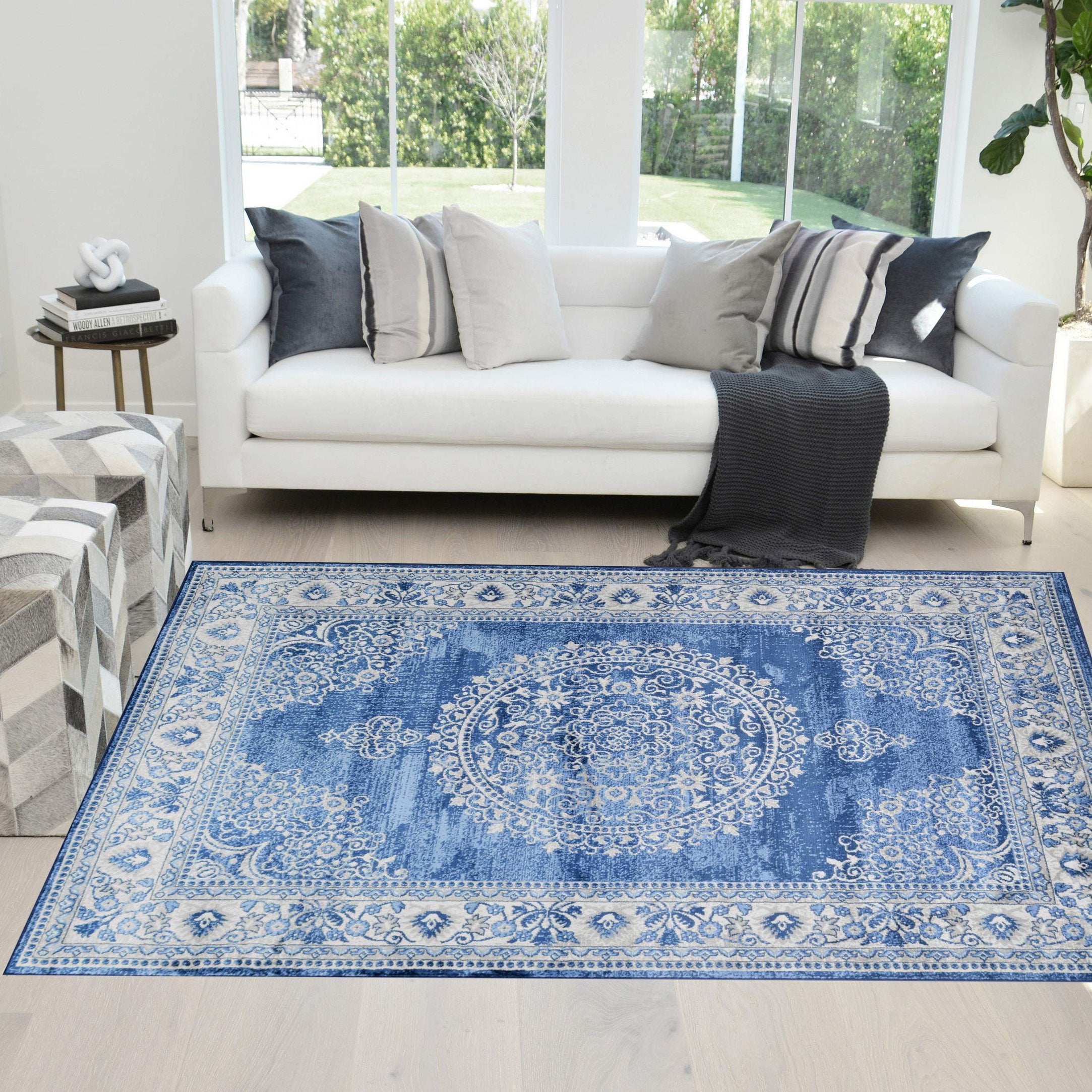 Traditional Rug for Living Room Antiqued Oriental Boho Décor