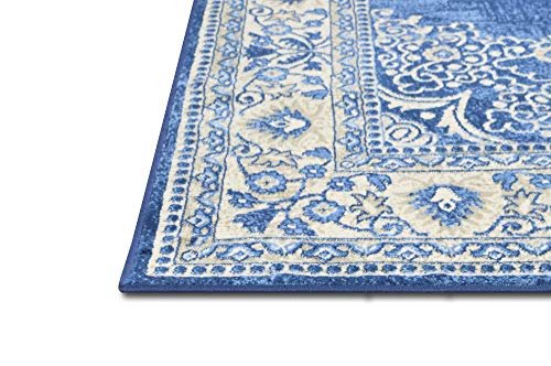 Traditional Rug for Living Room Antiqued Oriental Boho Décor