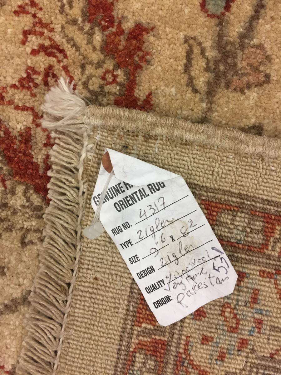 Hand Knotted Pakistani Rug- Ziegler Floral-Blue/Red/Beige-(8.2 by 9.6 Feet)