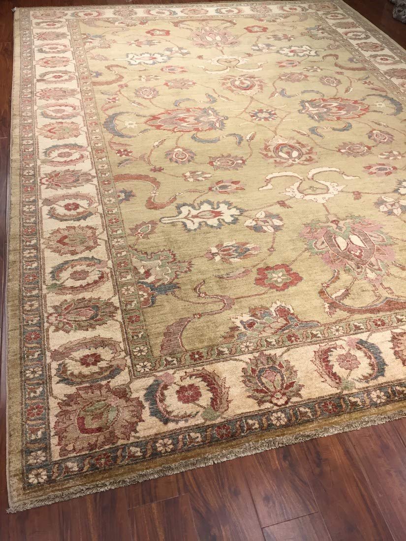 Authentic Wool Handmade Pakistan Area Rug Floral Ziegler Faded-Sage/Beige/Burgundy-(9 by 12 Feet)