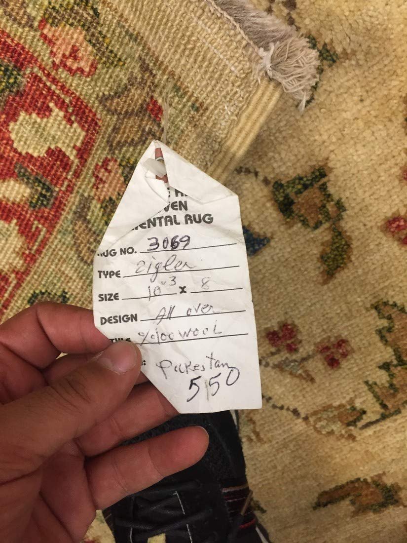 Authentic Handmade fine Pakistani Rug-Wool Allover/Floral Pattern-Beige/Multi-(8 by 10.3 Feet)