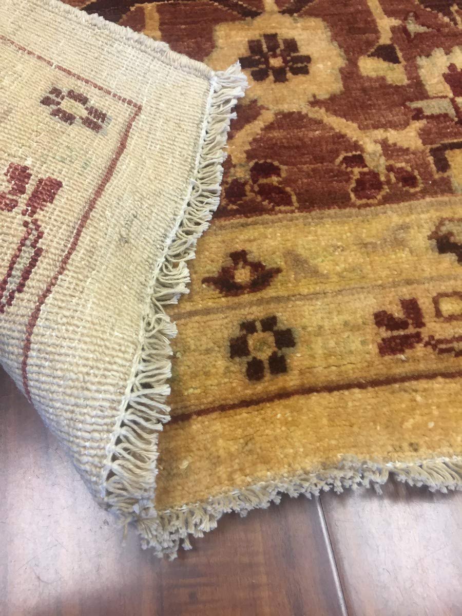 Hand Knotted Pakistani Rug-Ziegler-Red/Beige/Multi-(10 by 13.8 Feet)