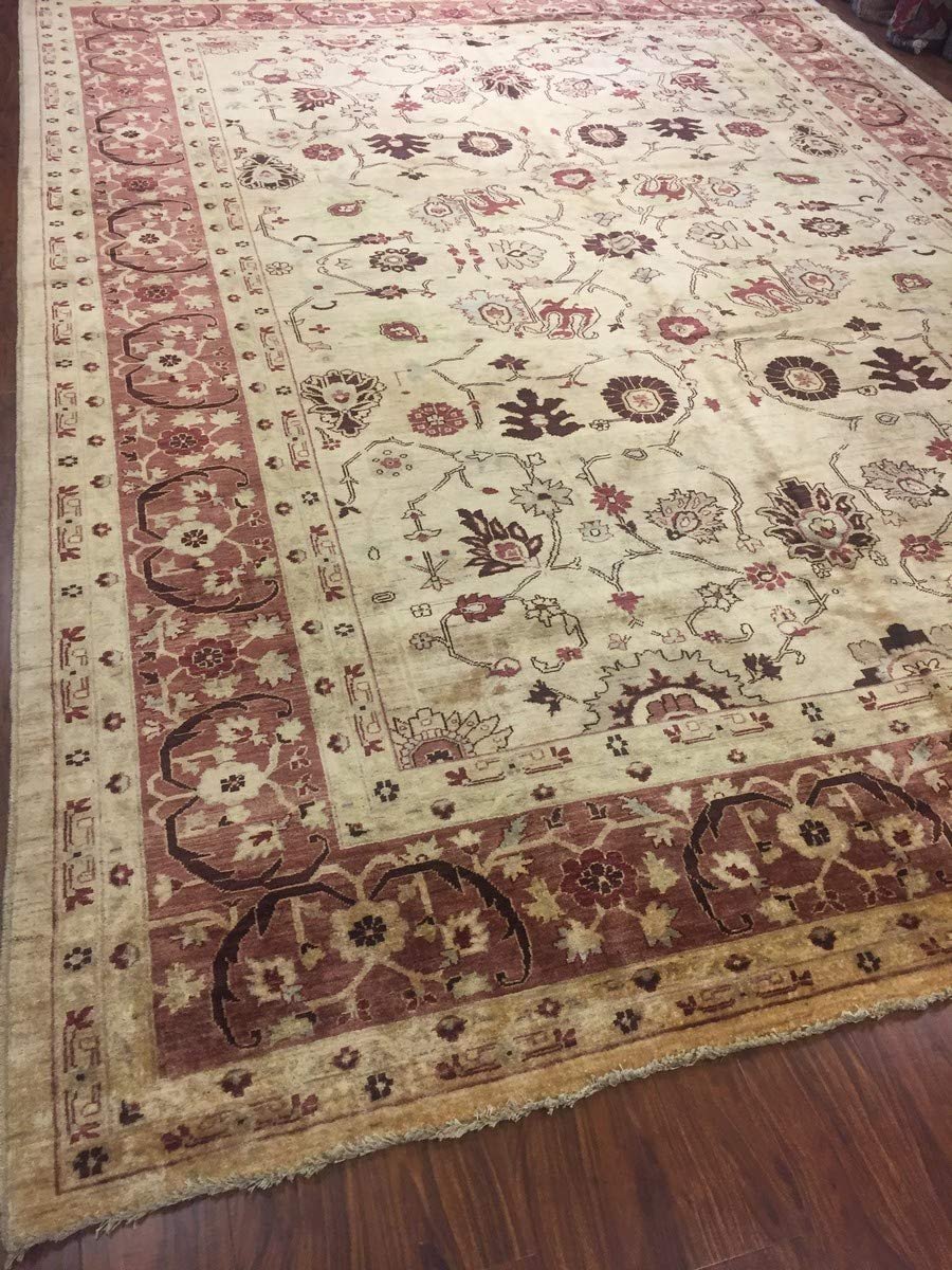 Hand Knotted Pakistani Rug-Ziegler-Red/Beige/Multi-(10 by 13.8 Feet)