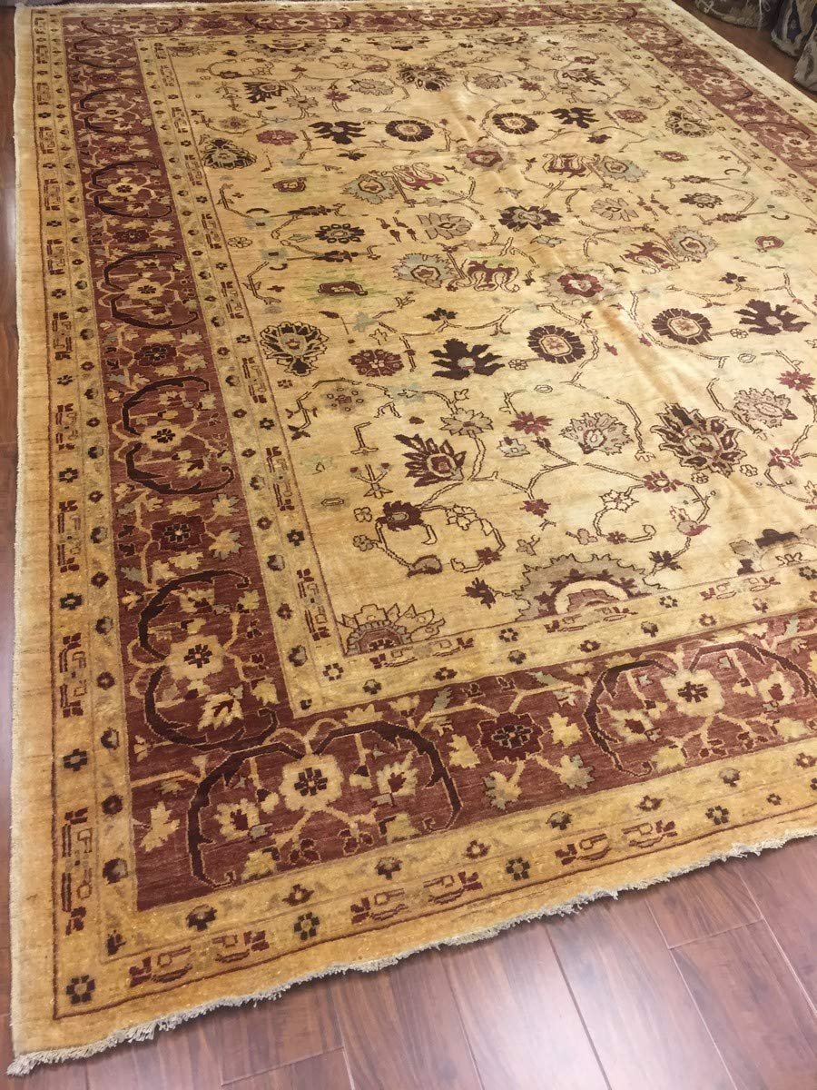 Hand Knotted Pakistani Rug-Ziegler-Red/Beige/Multi-(10 by 13.8 Feet)