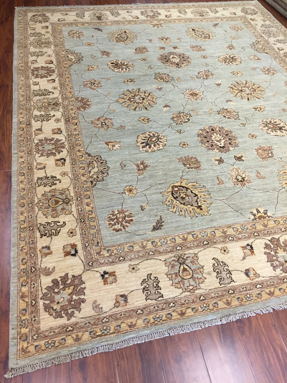 Hand Knotted Pakistani Rug-Ziegler-Sky Blue/Beige/Multi-(9.9 by 8 Feet)